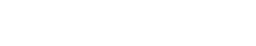 Maxiva — Maximize Value. Multiply Impact.